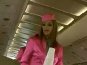 Flugzeug Sexy Stewardess