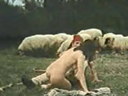 Griechische Vintage Schafe Prärie Sex